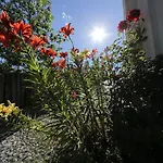 Otel Eden 2*