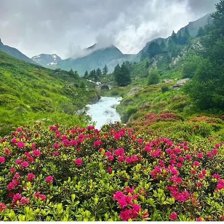 Отель Eden